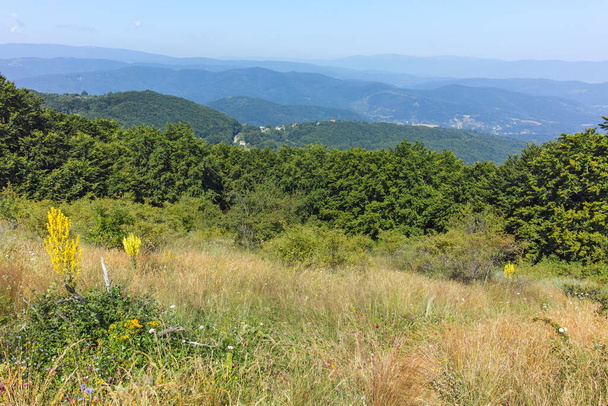 Paisaje de verano de la montaña Erul cerca del pico Kamenititsa, Región de Pernik, Bulgaria - Foto, Imagen