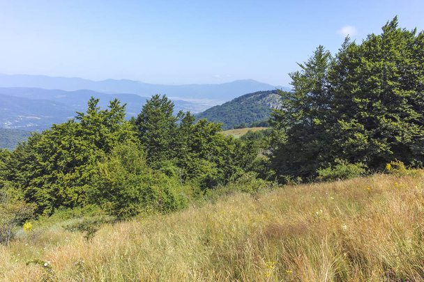 Sommerlandschaft des Erul-Gebirges in der Nähe des Kamenitiza-Gipfels, Region Pernik, Bulgarien - Foto, Bild