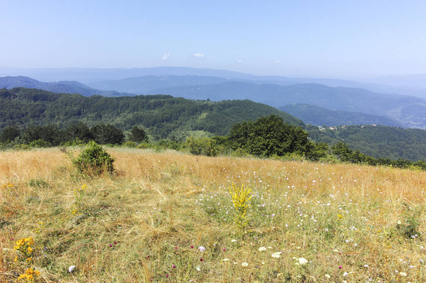 Sommerlandschaft des Erul-Gebirges in der Nähe des Kamenitiza-Gipfels, Region Pernik, Bulgarien - Foto, Bild