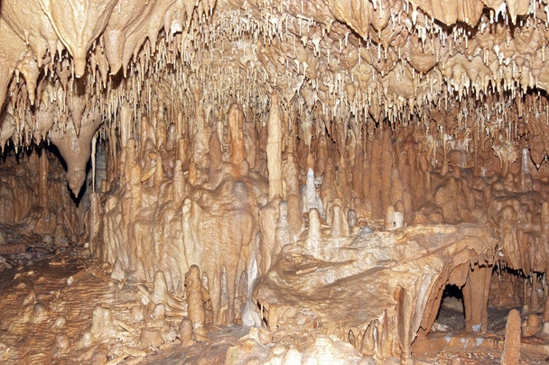 Cuevas de estalactita Javoricko
 - Foto, imagen