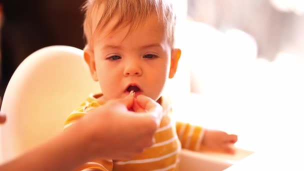 Anne bebeği bir parça yiyecekle besler. Yüksek kalite 4k görüntü - Video, Çekim