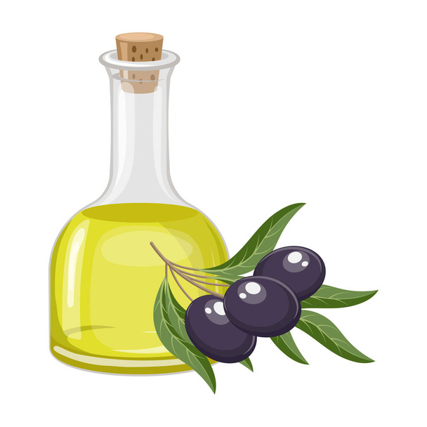 Olivový olej a větvičky s olivami a listy. Ilustrace jídla, vektor - Vektor, obrázek