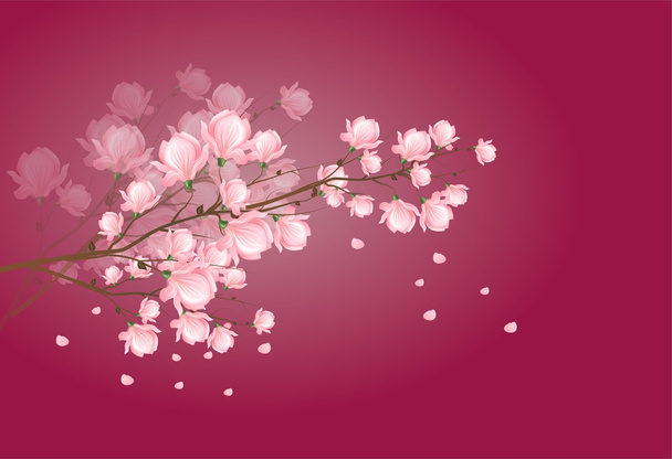 Flor de magnólia rosa claro no fundo rosa escuro
 - Foto, Imagem