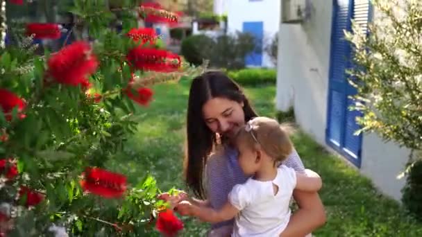 Mãe com uma menina em seus braços fica perto de um arbusto de callistemon com flores vermelhas. Imagens 4k de alta qualidade - Filmagem, Vídeo