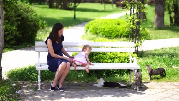 Маленькая девочка вылезает со скамейки с матерью, сидящей на ней в парке, и идет к кошкам. Высококачественные 4k кадры - Кадры, видео