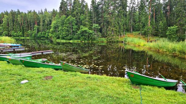 いくつかの喜びのボートは森の小さな池の岸に取り付けられています. - 写真・画像