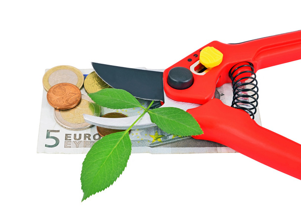 zahradní nůžky, zelený list a peníze - Fotografie, Obrázek