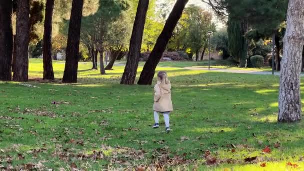 La bambina corre lungo l'erba verde nel parco dopo un aereo di carta e lo porta indietro. Filmati 4k di alta qualità - Filmati, video