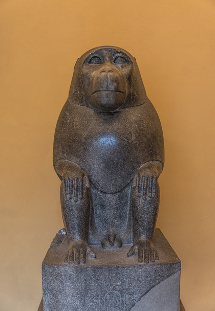 Statue of sitting monkey at Egyptien sarcophagus tomb - Photo, Image