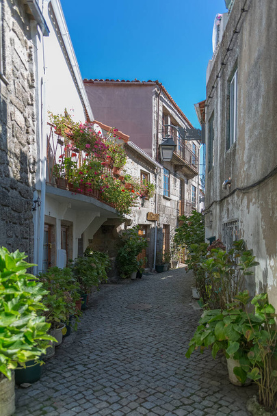pintoresca y típica calle, con flores y farolas clásicas, en la ciudad de Trancoso, Portugal... - Foto, Imagen