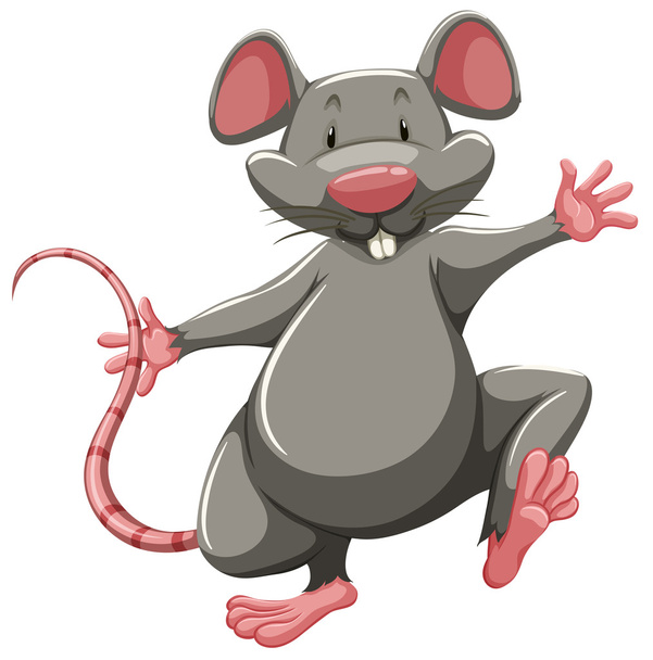 Gray rat - Vector, Image