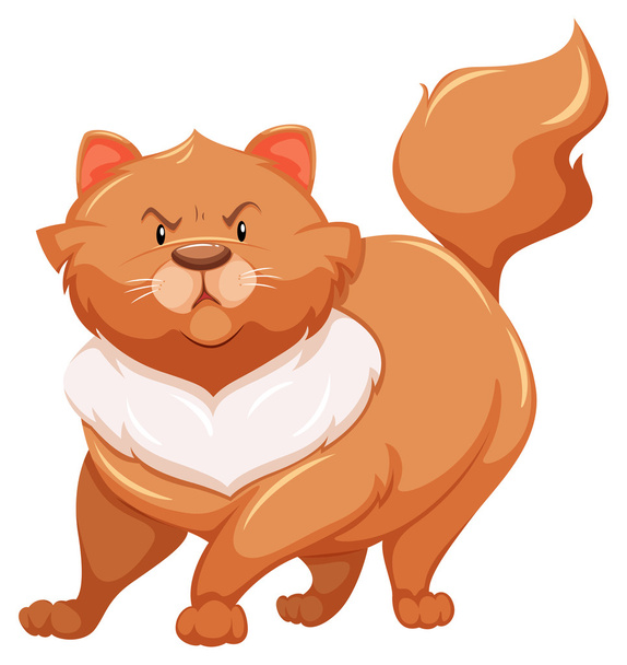 Толстый кот - Вектор,изображение
