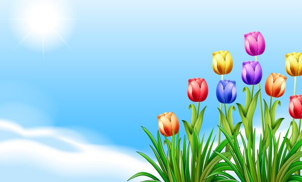 Цветущие цветы
 - Вектор,изображение