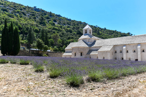 Cisterciënzer Senanque Abdij met lavendelveld, in Gordes, Vaucluse, Provence, Provence-Alpes-Cote d 'Azur, Frankrijk - Foto, afbeelding