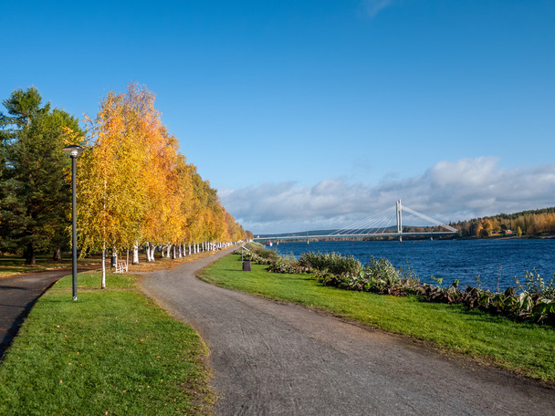 podzimní krajina s mostem - Fotografie, Obrázek