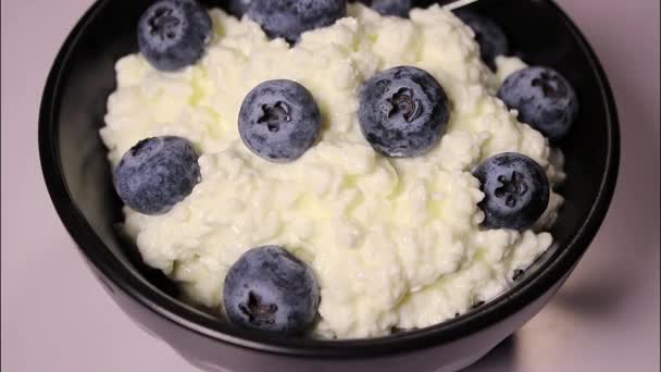 Close up of cottage cheese with fresh blueberries in black bowl on white background, hight protein dessert.  - Footage, Video