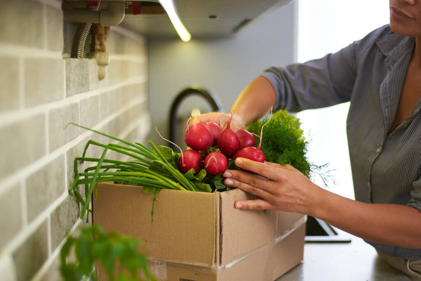 Hausfrau in Großaufnahme sortiert frisches Bio-Gemüse und Kräuter, die nach Hause geliefert werden, bereitet für das Abendessen gesunden Salat zu. Essenslieferservice. Gesunde Ernährung und Lebensstil-Konzept. Schlankheitskur - Foto, Bild