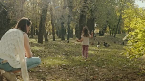 Pieni tyttö ruokkimassa ankkoja puistossa. Äiti ja hänen lapsensa ruokkivat ankkoja kesäpuistossa, ihana lapsi tyttö, hauskaa yhdessä - Materiaali, video