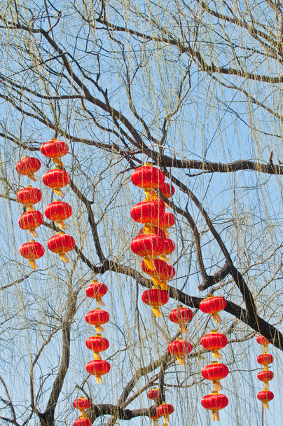 Chinese lanterns - Photo, Image