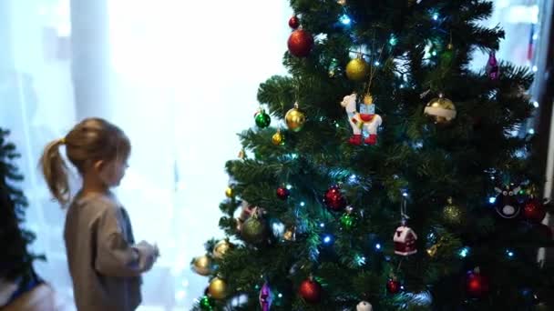 Little girl walks around a decorated Christmas tree and looks at it. High quality 4k footage - Footage, Video