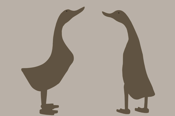 Dois gansos de pé eretos
 - Foto, Imagem