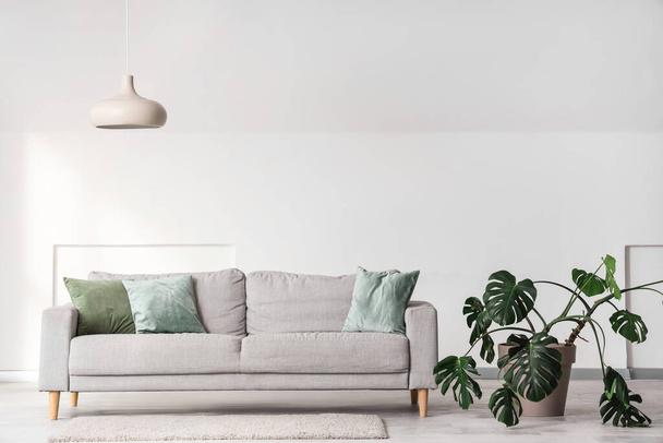 Interior da sala de estar leve com sofá cinza, planta Monstera e lâmpada - Foto, Imagem