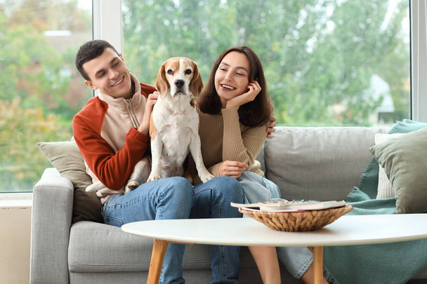 Молодая пара с симпатичной собакой Бигл сидит дома на диване - Фото, изображение