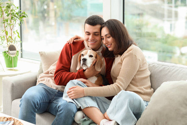 自宅でソファーに座っているかわいいビーグル犬と若いカップル - 写真・画像