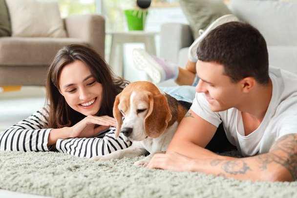 Young couple with cute Beagle dog lying on carpet at home - Photo, Image