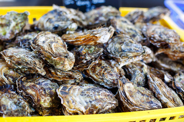 frische Austern auf dem mediterranen Wochenmarkt.  - Foto, Bild