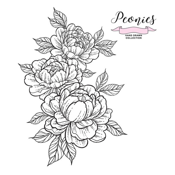 Peony flowers composition in tattoo style. Hand drawn inked flowers. Black and white peonies. Vector illustration. - Vector, Image