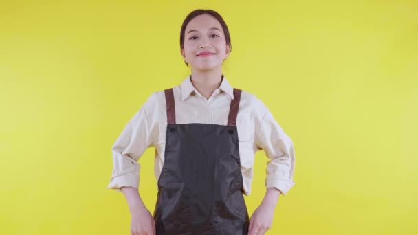 Ritratto di giovane donna barista asiatica con grembiule in piedi e sorriso su sfondo giallo, cameriera o imprenditore allegro, piccola impresa o start-up, cameriere di caffè o caffetteria con fiducia. - Filmati, video