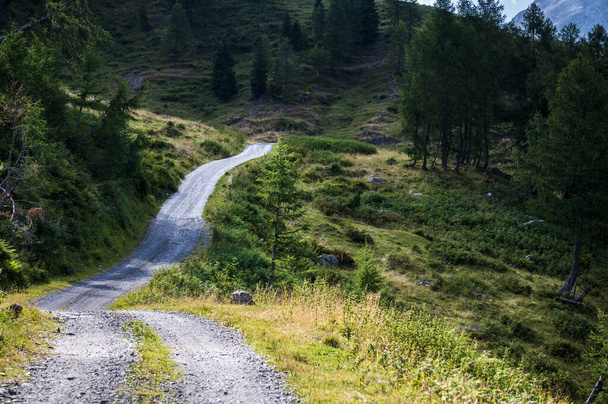Path at Casera Lavareit Carnia mountains  - Photo, Image