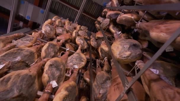 Jamon Serrano prasečí stehýnka továrna visící v průmyslových nohách iberské šunky. Iberský proces zpracování šunky - Záběry, video