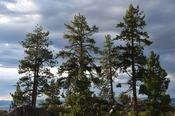 SOUTH LAKE TAHOE CA - 16.AUG: Kolem jižního jezera Tahoe v Kalifornii, jak je vidět na 16.srpna 2023. - Fotografie, Obrázek