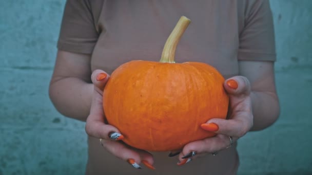 La mujer sostiene la calabaza naranja brillante en sus manos de cerca. Preparándose para Halloween y cultivando calabazas. Vacaciones de otoño, calabaza en las manos. Sin cara. Cosecha de permacultura. Agricultor. - Metraje, vídeo