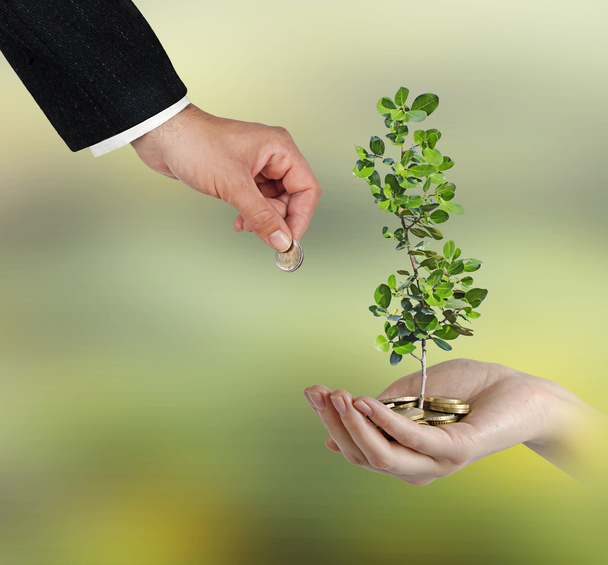 Επενδύοντας στην πράσινη επιχείρηση - Φωτογραφία, εικόνα