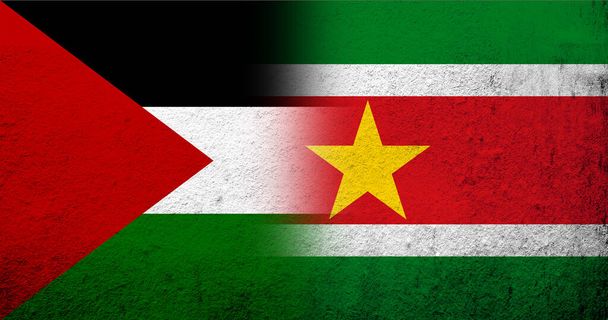 Vlag van Palestina en de Republiek Suriname Nationale vlag. Grunge achtergrond - Foto, afbeelding