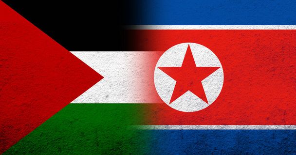 Vlag van Palestina en Republiek Korea (Noord-Korea) Nationale vlag. Grunge achtergrond - Foto, afbeelding