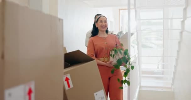 Couple, moving and pointing in new home with boxes. plants and happy with thinking, chat and planning. Man, woman and excited for fresh start, package and investment in property, real estate or house. - Footage, Video