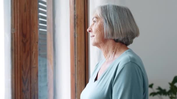 Starší žena, okno a myšlení s pamětí, nápady nebo vize s mírem, bdělostí nebo perspektivou. Starší osoba, domov a pamatovat s klidem pro rozhodování, výběr nebo plánování odchodu do důchodu doma. - Záběry, video