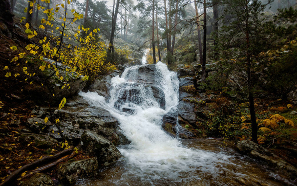 La Chorranca vízesés Valsain, Segovia, Sierra de Guadarrama Nemzeti Park. Patak páfránnyal és fenyőfákkal ősszel, tájkép fotózás - Fotó, kép