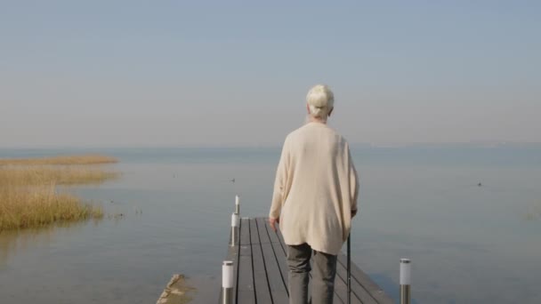 Widok z tyłu seniora siwowłosy kobieta chodzenie po drewnianym molo z trzciny i patrząc na malownicze jezioro w letni dzień - Materiał filmowy, wideo