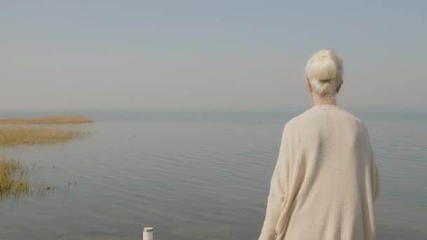 Vista posterior de anciana mujer de pelo gris caminando con bastón a lo largo del muelle de madera, mirando a su alrededor en vista panorámica del lago y sonriendo - Metraje, vídeo
