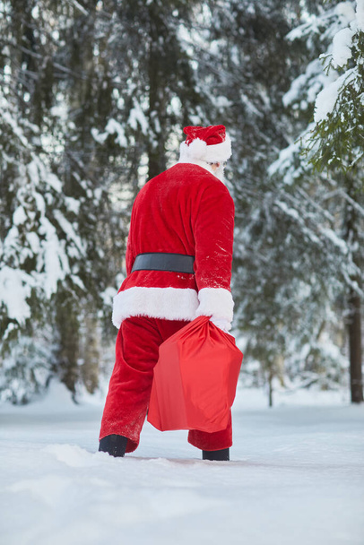 Vue arrière verticale du Père Noël traditionnel portant un sac avec des cadeaux dans la forêt d'hiver - Photo, image