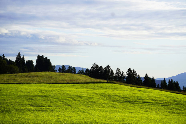 Panorama landschap in de Allgu in Beieren. Natuur met bergen, weiden en bossen. - Foto, afbeelding