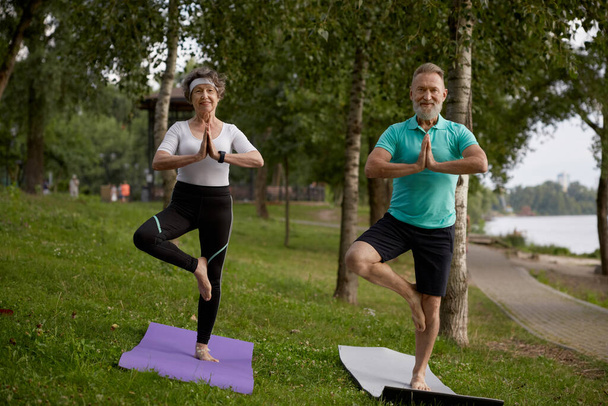 Older active couple doing yoga exercise outdoors at city park. Senior man and woman practicing tree asana with hands folded in Namaste sign balancing on one leg - Photo, Image