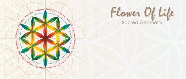 Flower Of Life Banner - Vector, Image