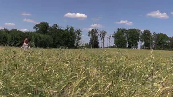 Jonge vrouw gaan door rijpe rogge veld op blauwe hemelachtergrond - Video