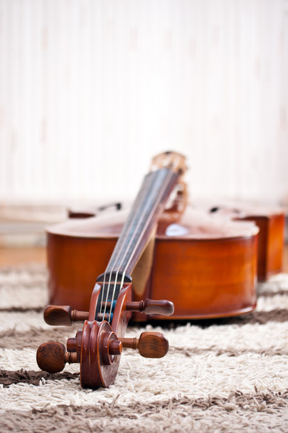 Classical cello - 写真・画像